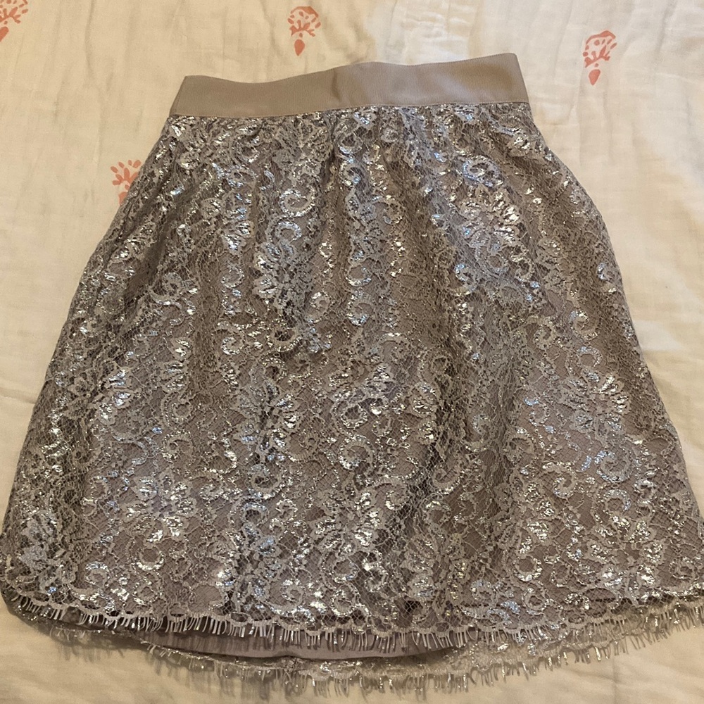 J. Crew Silver Lace A-Line Skirt